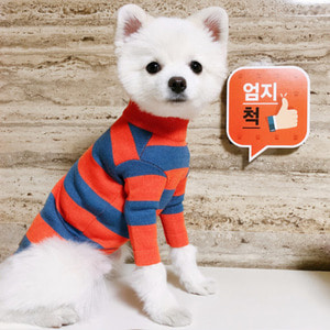 오렌지 블루 강아지옷 강아지니트 아크릴울 100%  Size L